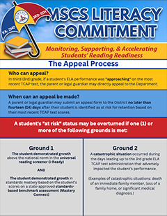Literacy Commitment Appeal Grounds